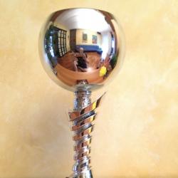 trofeo per la vincente del campionato provinciale Giovanissimi Girone B